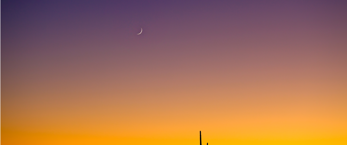 background_Arizona