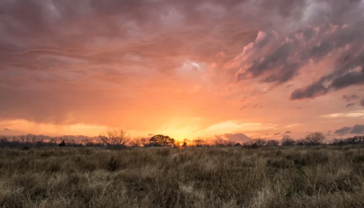 background_Texas