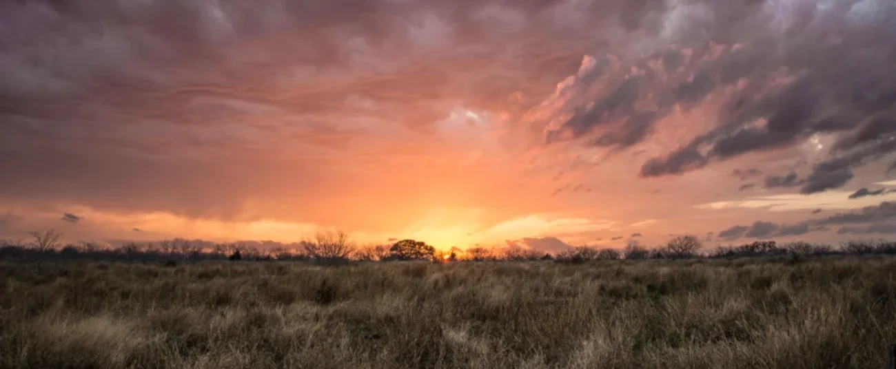 background_Texas