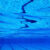 Swimming Pool Underwater Sport background