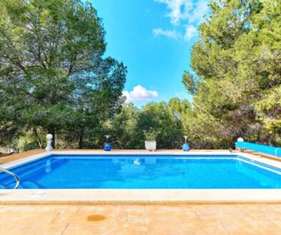 empty-swimming-pool-green-lush-trees-blue-cloudy-sky_0x800