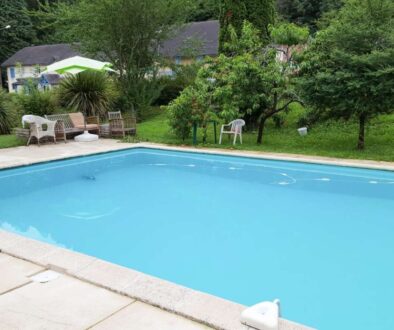 Outdoor swimming pool with blue water near the garden