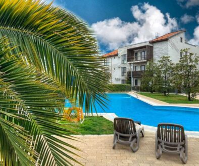 palm-trees-by-swimming-pool-against-building_0x800