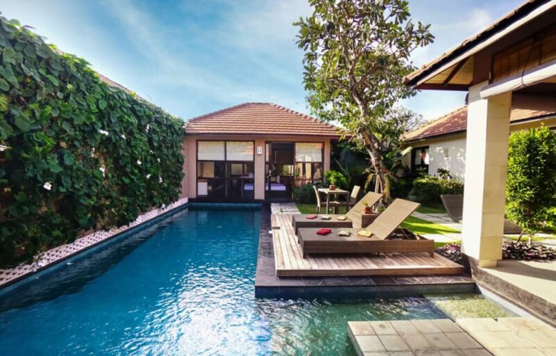 beautiful-contemporary-home-with-pool-tropical-ornament-plants-pool-with-view-tropical-blue-water-clean-garden_0x800 (1)