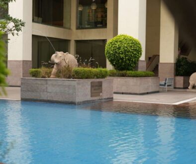 beyond-imagination-crafting-your-dream-luxury-swimming-pool_0x800