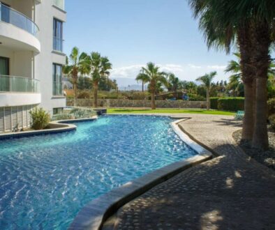 tranquil-oasis-with-swimming-pool-surrounded-by-palm-trees-sunny-day(1)_0x800
